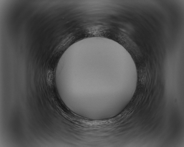 X0000052650036200507160235