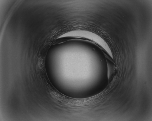 X0000052650037200507160235