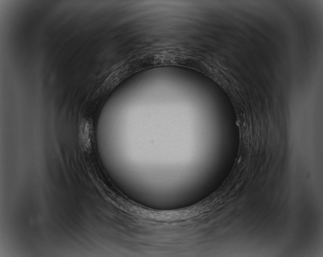 X0000052650038200507160235