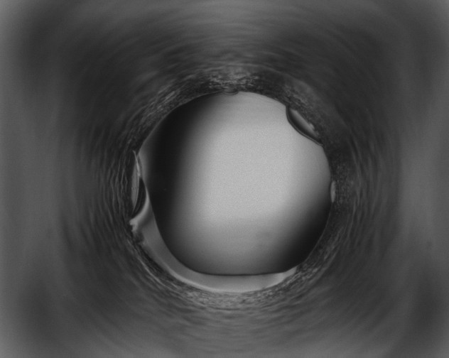 X0000052650040200507160235