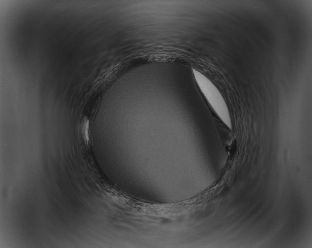 X0000052650041200507160235