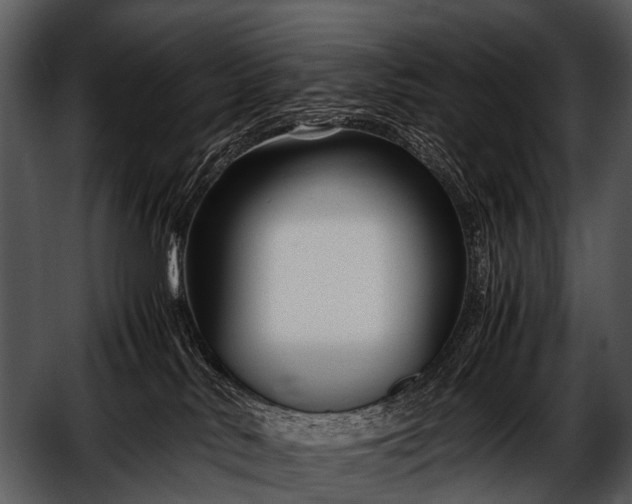 X0000052650042200507160235