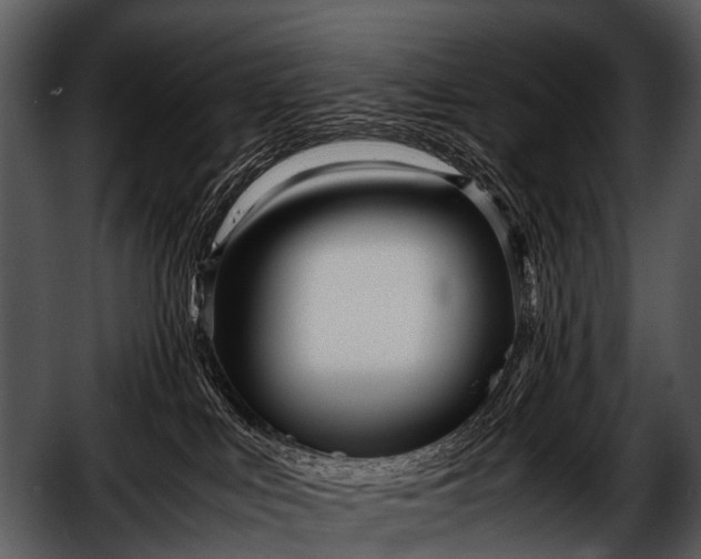 X0000052650043200507160235