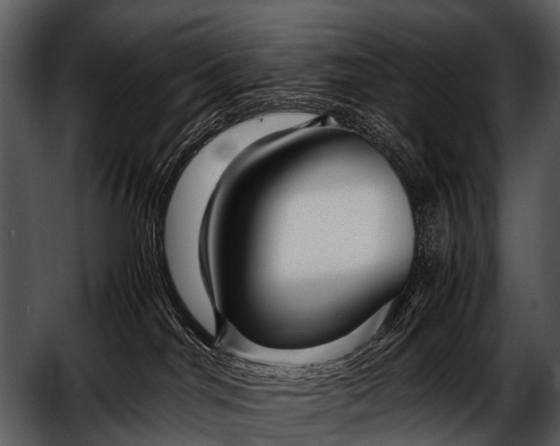 X0000052650044200507160235