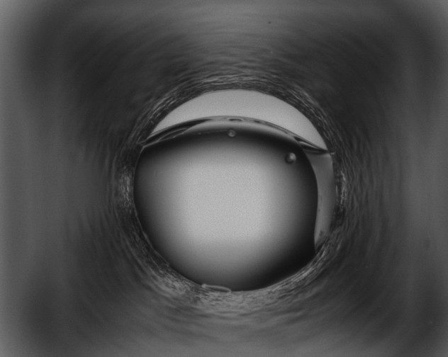 X0000052650045200507160235