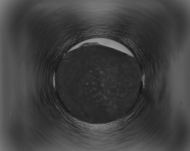 X0000052650046200507160235