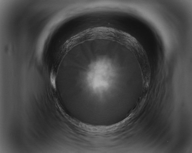 X0000052650047200507160235