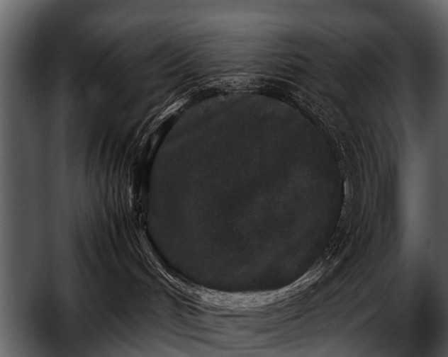 X0000052650048200507160234