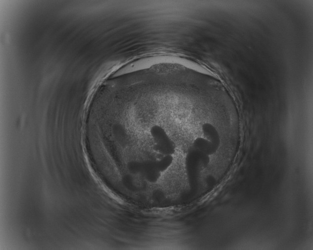 X0000052650049200507160234