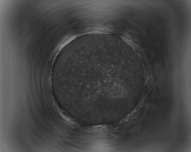 X0000052650050200507160234