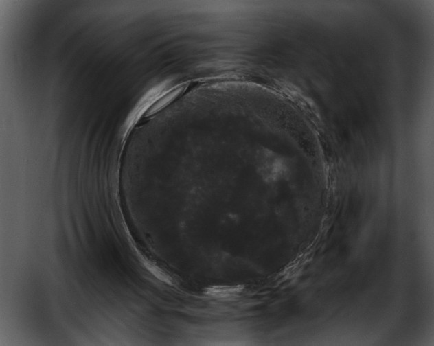 X0000052650051200507160234