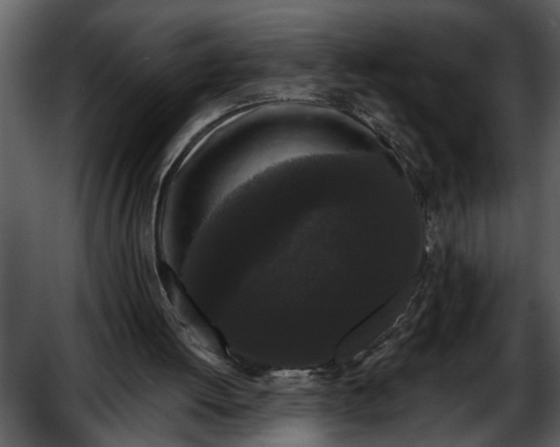 X0000052650052200507160234