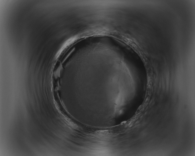 X0000052650054200507160234