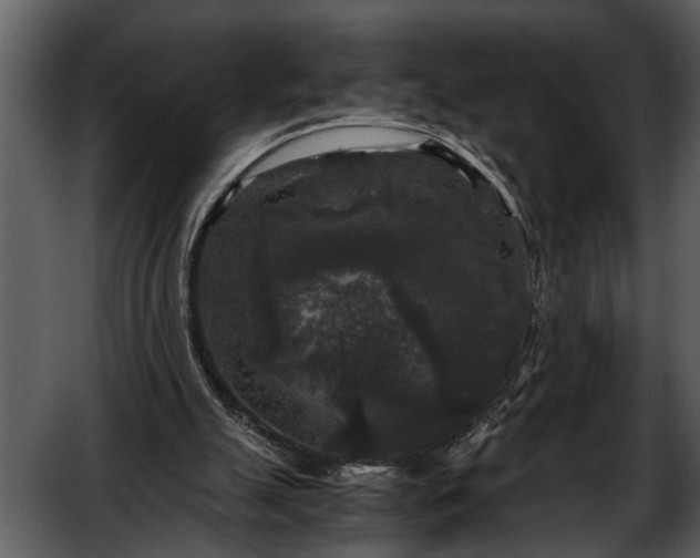 X0000052650055200507160234