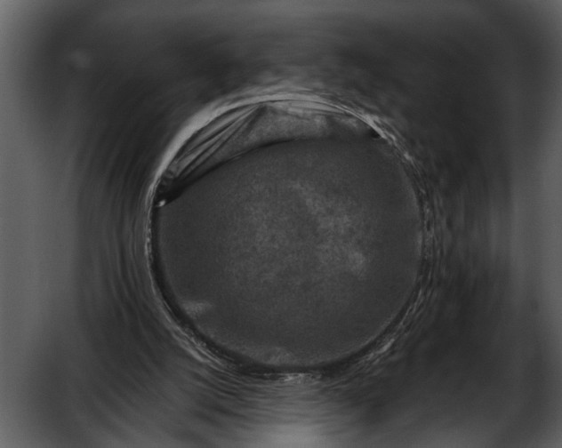 X0000052650056200507160234