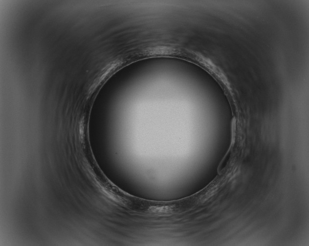 X0000052650057200507160234