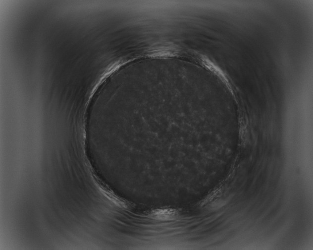 X0000052650059200507160234