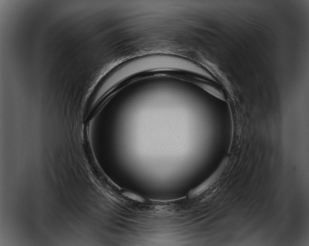 X0000052650060200507160234