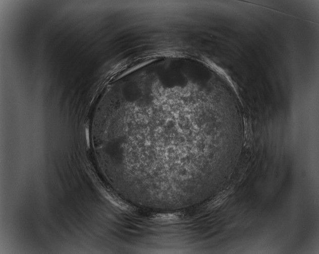 X0000052650061200507160234