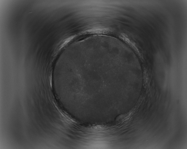 X0000052650062200507160234