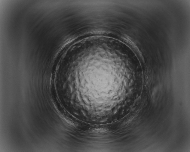 X0000052650063200507160234