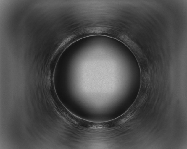 X0000052650064200507160234