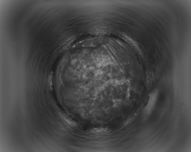 X0000052650065200507160234