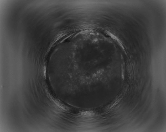 X0000052650067200507160234