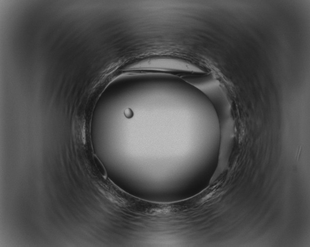 X0000052650068200507160234