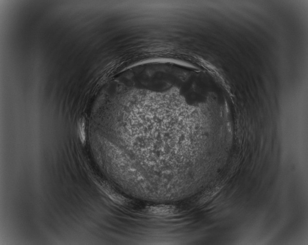 X0000052650069200507160234