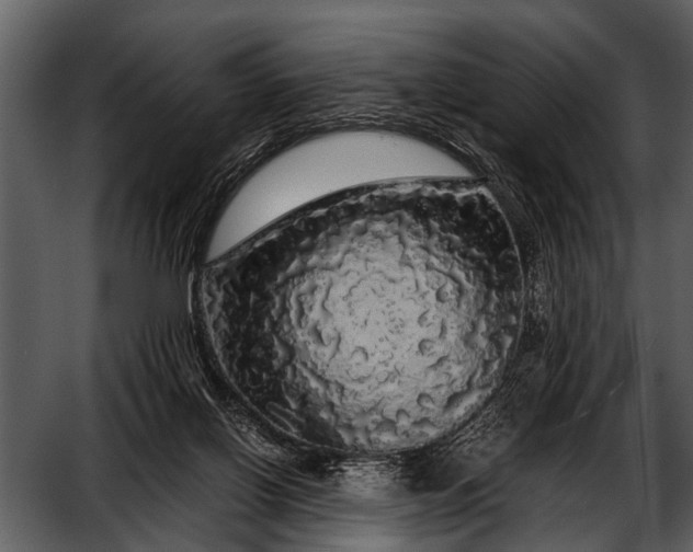 X0000052650070200507160234