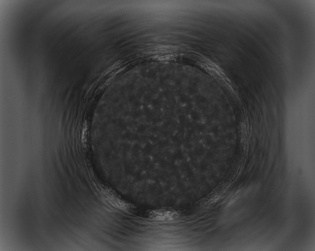 X0000052650073200507160234