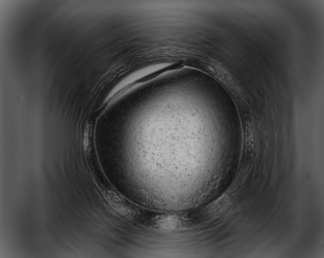 X0000052650074200507160234