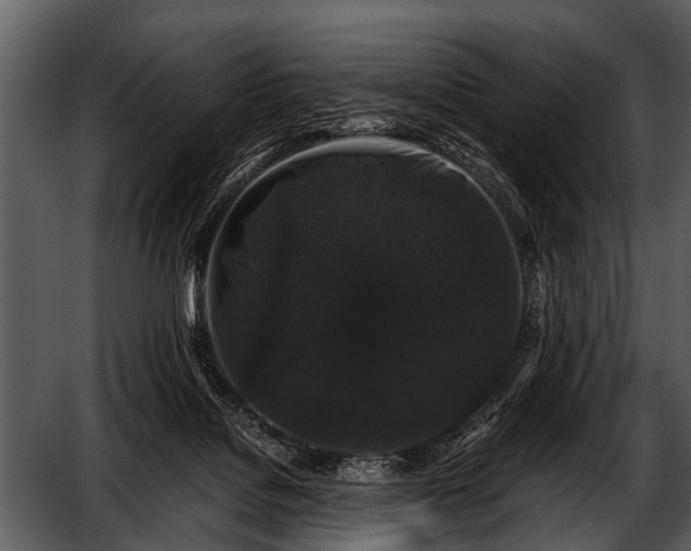 X0000052650076200507160234