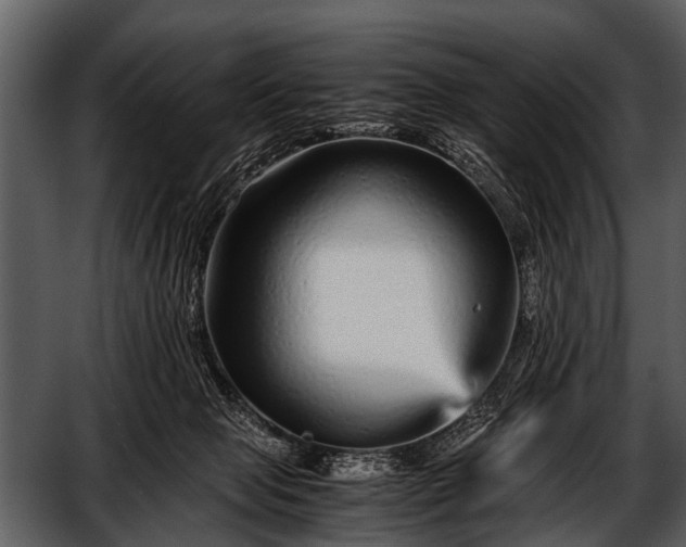 X0000052650077200507160234