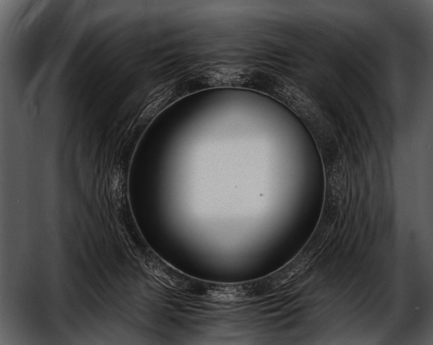 X0000052650079200507160234