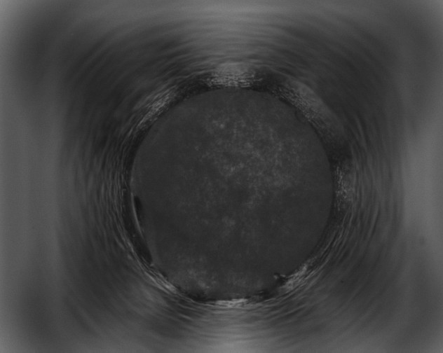 X0000052650080200507160234