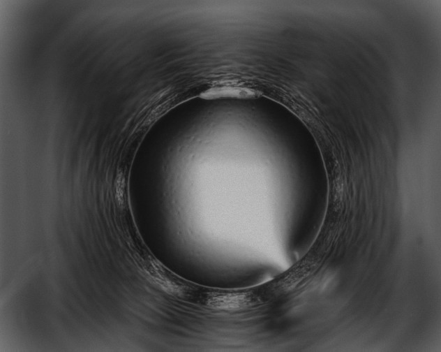 X0000052650081200507160234