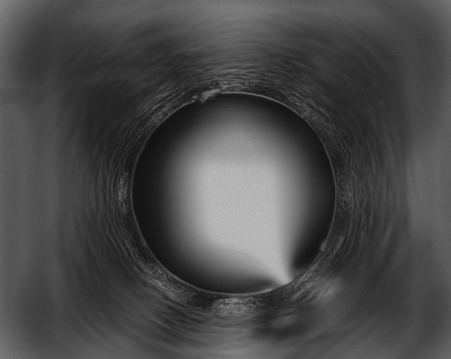 X0000052650082200507160234