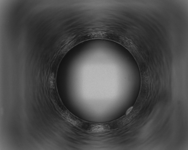 X0000052650083200507160234