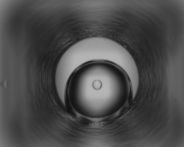 X0000052650084200507160234