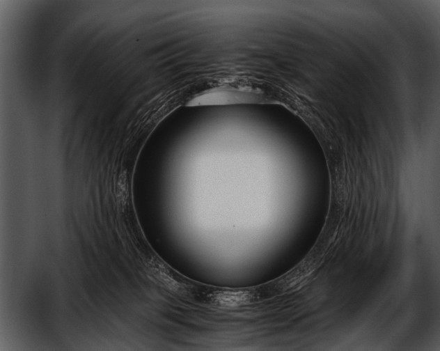 X0000052650085200507160234