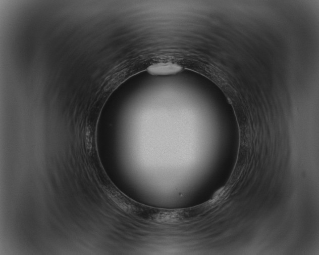 X0000052650086200507160234