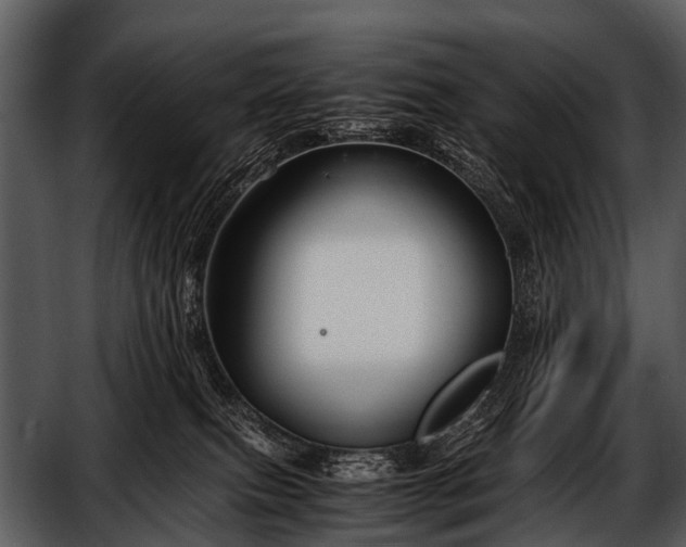 X0000052650087200507160234