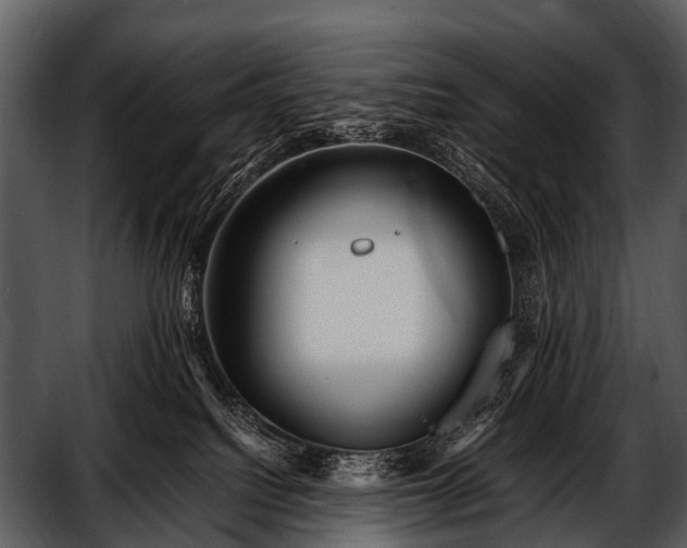 X0000052650088200507160234