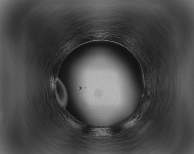 X0000052650089200507160234