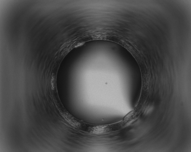 X0000052650090200507160234