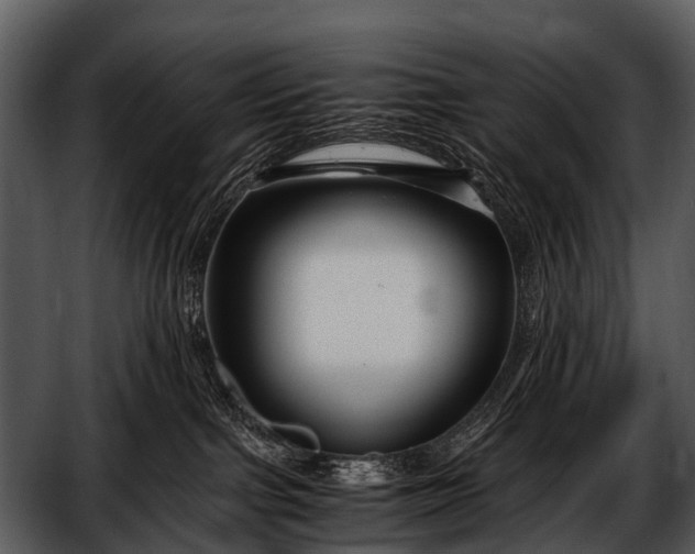 X0000052650091200507160234