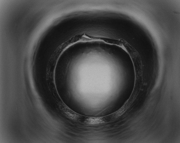 X0000052650093200507160234