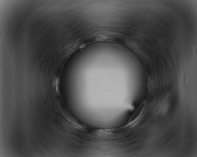 X0000052650094200507160234